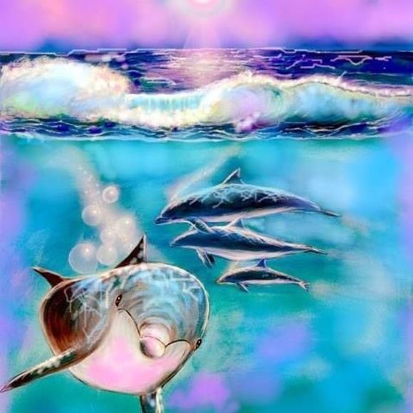 Meet your Posher, Gypsy - Picture 1 of 1